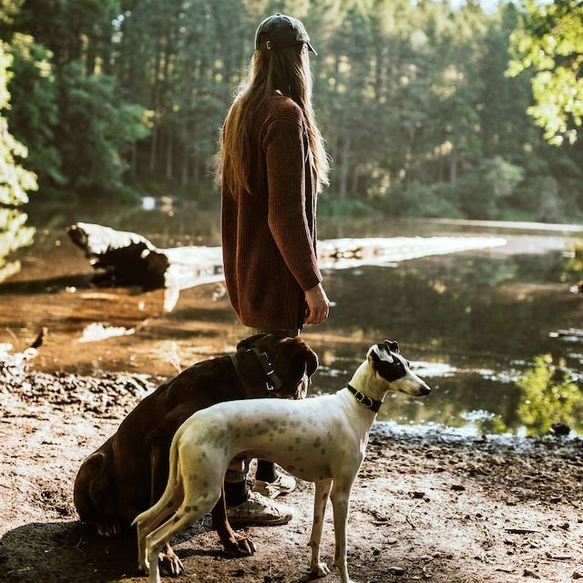 Explaining our nodog policy Slovin Unique Rastoke